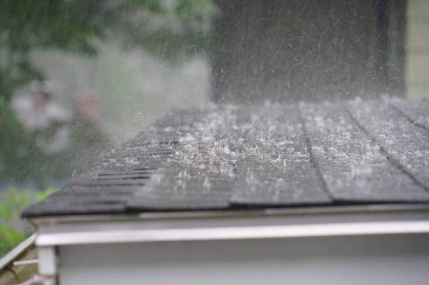 Best Roof Repair  in Labelle, FL