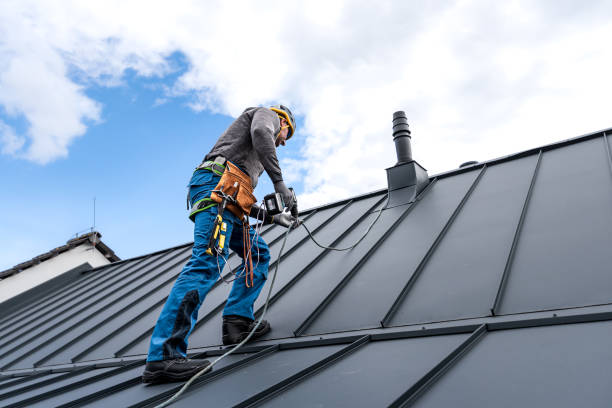 Best Chimney Flashing Repair  in Labelle, FL