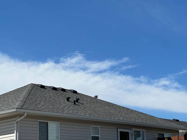 Best Cold Roofs  in Labelle, FL